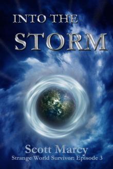 Into the Storm Read online