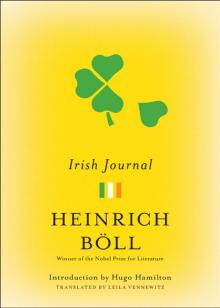Irish Journal Read online