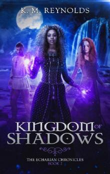 Kingdom of Shadows Read online