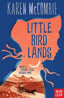 Little Bird Lands Read online