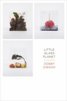 Little Glass Planet Read online