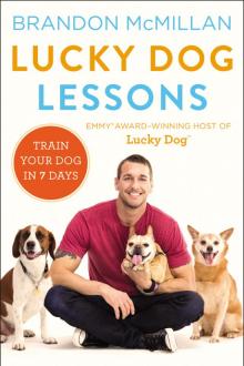 Lucky Dog Lessons Read online