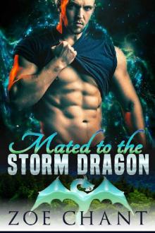 Mated to the Storm Dragon Read online