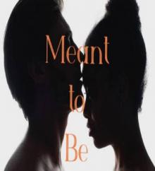 Meant to be (Contemporary Book 1)