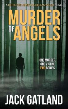 Murder Of Angels - a crime thriller (Detective Inspector Declan Walsh Book 2) Read online