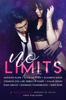 No Limits: A Taboo Anthology