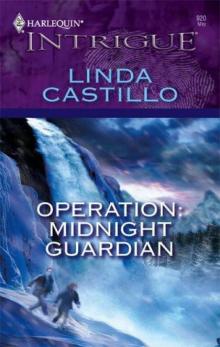 Operation: Midnight Guardian Read online
