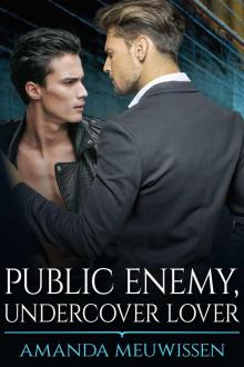 Public Enemy, Undercover Lover Read online