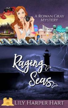 Raging Seas (A Rowan Gray Mystery Book 9) Read online