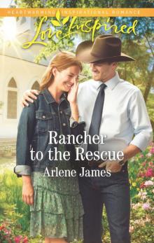 Rancher to the Rescue Read online