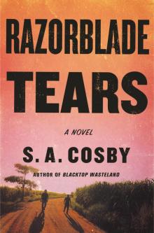 Razorblade Tears Read online
