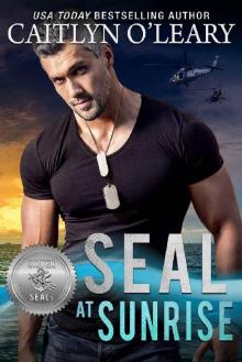 SEAL at Sunrise (Silver SEALs Book 12) Read online