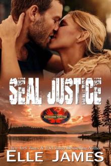 SEAL JUSTICE (Brotherhood Protectors Book 13) Read online