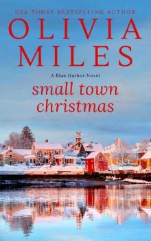Small Town Christmas (Blue Harbor Book 4) Read online
