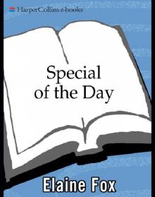 Special of the Day Read online