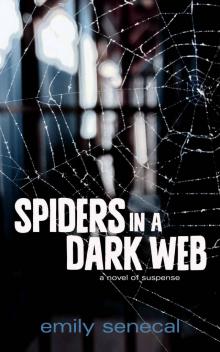 Spiders in a Dark Web