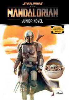 Star Wars: The Mandalorian Junior Novel Read online