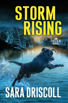 Storm Rising Read online