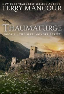 Thaumaturge Read online