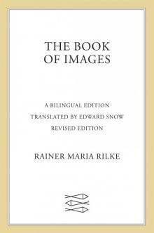 The Book of Images Read online