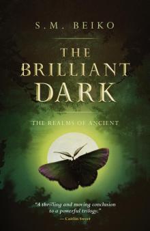 The Brilliant Dark Read online
