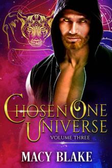 The Chosen One Universe Volume Three: An MM Paranormal Fantasy Shifters Series Read online