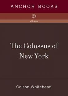 The Colossus of New York Read online