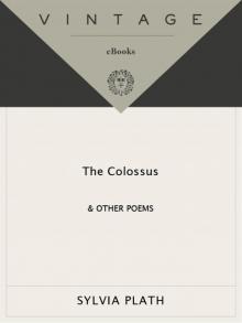 The Colossus Read online