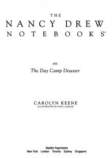 The Day Camp Disaster Read online