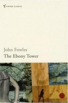The Ebony Tower-Short Stories - John Fowles
