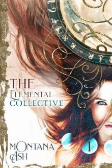 The Elemental Collective: Volume One: An Elemental Paladins Spin-off Series Read online