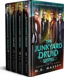 The Junkyard Druid Box Set 2 Read online