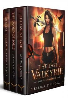 The Last Valkyrie Series Complete Boxed Set Read online