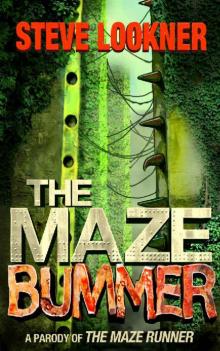 The Maze Bummer Read online