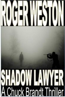 The Shadow Lawyer Read online