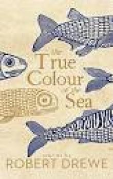 The True Colour of the Sea Read online
