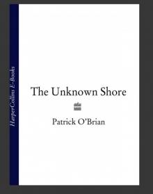 The Unknown Shore Read online