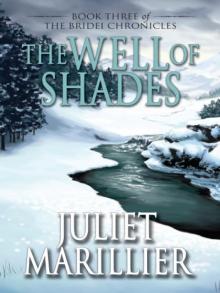 The Well of Shades Read online