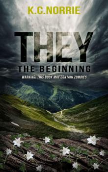 They- The Beginning