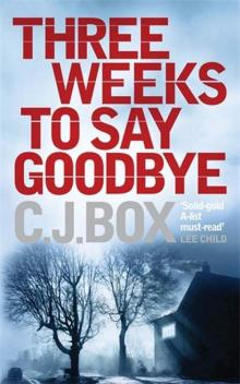 Three Weeks to Say Goodbye Read online