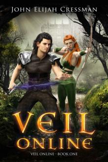 Veil Online - Book 1 (a LitRPG MMORPG Adventure Series) Read online