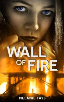 Wall of Fire: A Young Adult Dystopian Novel Read online