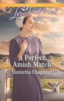 A Perfect Amish Match Read online