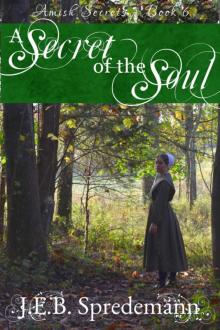 A Secret of the Soul (Amish Secrets--Book 6) Read online