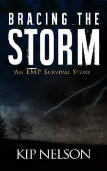 Bracing The Storm: An EMP Survival Story (Survival Series Book 3) Read online