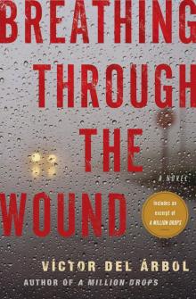 Breathing Through the Wound Read online