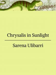 Chrysalis in Sunlight