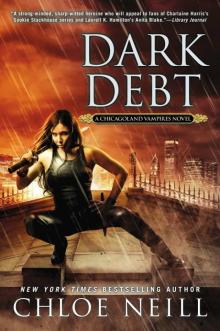 Dark Debt Read online