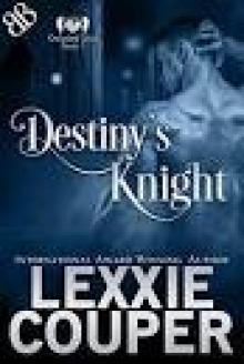 Destiny's Knight: A Fallen Angel Protector Paranormal Romantic Suspense Book (Guarded Souls 1) Read online