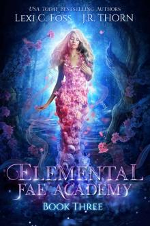 Elemental Fae Academy: Book Three: A Reverse Harem Paranormal Romance Read online